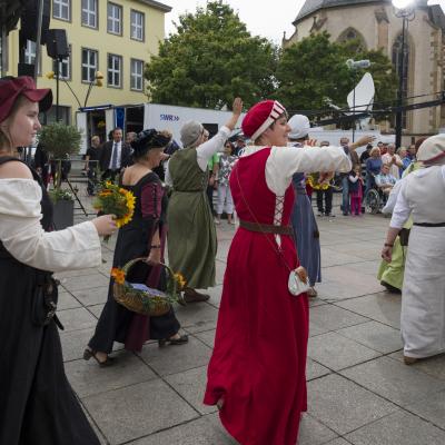 Landesfestumzug 2015 in Bruchsal